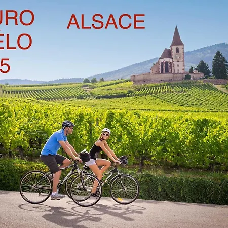 Près Colmar 6 Appartement